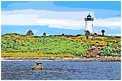 Lighthouse Greeted by Coastal Seabirds